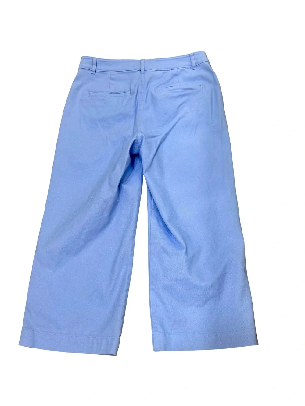 LOFT Palmer Light Blue Wide Leg Pants - Picture 2 of 5
